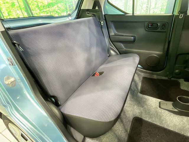 �㕔���Ȃ��C�ɂȂ�悤�ȃL�Y�E�����ւ��蓙�A�傫�ȃ_���[�W�͂Ȃ��A�ǍD�ȏ�Ԃł��B