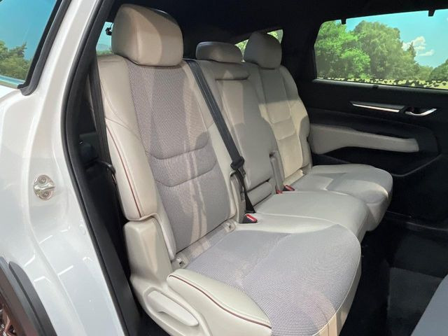 �㕔���Ȃ��C�ɂȂ�悤�ȃL�Y�E�����ւ��蓙�A�傫�ȃ_���[�W�͂Ȃ��A�ǍD�ȏ�Ԃł��B