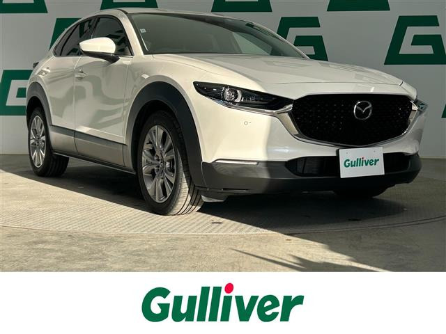 CX-302.0 20S プロアクティブ