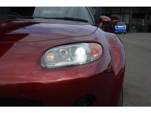 �|�㓌�n��ɂ������܂�!��^�W����A�����H������݂��Ă���܂��B�ΐF�̃e�B�[�J�[�Y�Ŕ��ڈ�ł�!