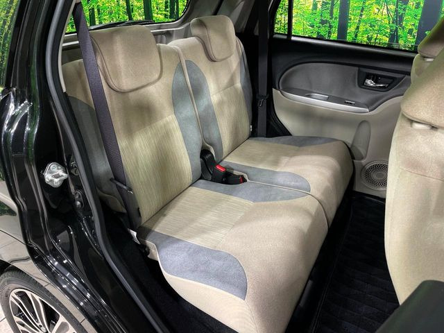 �㕔���Ȃ��C�ɂȂ�悤�ȃL�Y�E�����ւ��蓙�A�傫�ȃ_���[�W�͂Ȃ��A�ǍD�ȏ�Ԃł��B