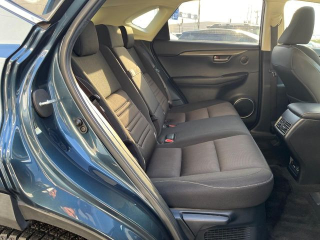 �㕔���Ȃ��C�ɂȂ�悤�ȃL�Y�E�����ւ��蓙�A�傫�ȃ_���[�W�͂Ȃ��A�ǍD�ȏ�Ԃł��B