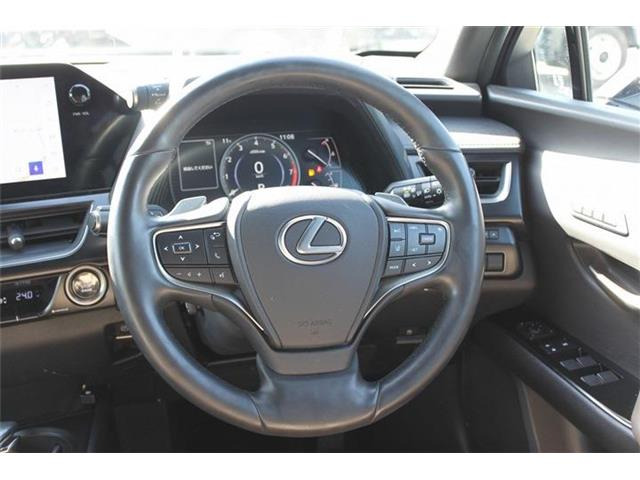 ���Ǝҗl�ւ̔̔��͂��f�肳���Ă��������܂��B �Ԍ������ԗ��̏ꍇ�́A�Ԍ����擾�������x�������z�ŕ\�����Ă���܂��B