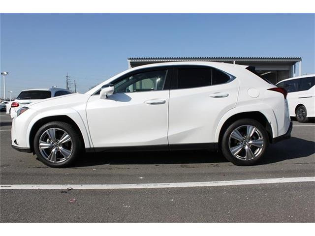 ���Ǝҗl�ւ̔̔��͂��f�肳���Ă��������܂��B �Ԍ������ԗ��̏ꍇ�́A�Ԍ����擾�������x�������z�ŕ\�����Ă���܂��B