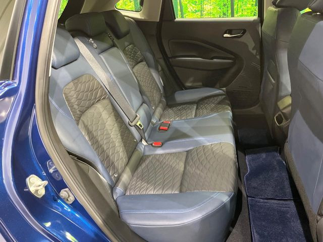 �㕔���Ȃ��C�ɂȂ�悤�ȃL�Y�E�����ւ��蓙�A�傫�ȃ_���[�W�͂Ȃ��A�ǍD�ȏ�Ԃł��B