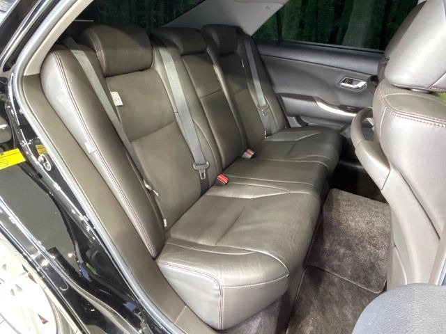 �㕔���Ȃ��C�ɂȂ�悤�ȃL�Y�E�����ւ��蓙�A�傫�ȃ_���[�W�͂Ȃ��A�ǍD�ȏ�Ԃł��B