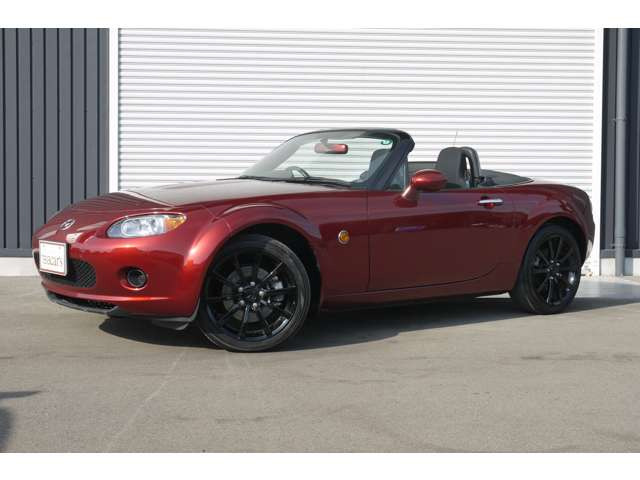 �|�㓌�n��ɂ������܂�!��^�W����A�����H������݂��Ă���܂��B�ΐF�̃e�B�[�J�[�Y�Ŕ��ڈ�ł�!