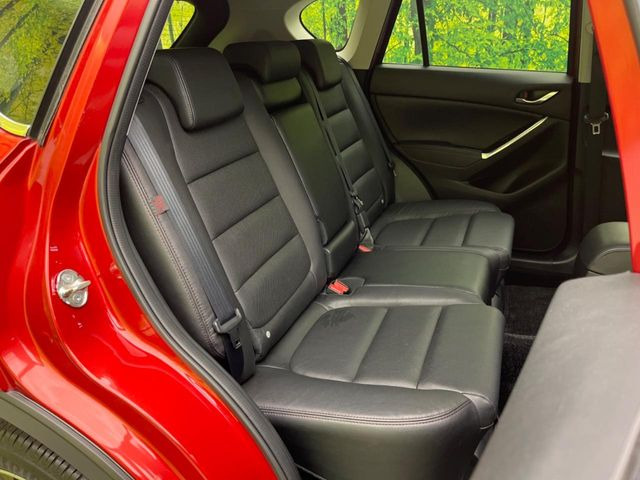 �㕔���Ȃ��C�ɂȂ�悤�ȃL�Y�E�����ւ��蓙�A�傫�ȃ_���[�W�͂Ȃ��A�ǍD�ȏ�Ԃł��B