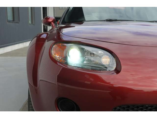 ���ДF�؍H�ꊮ��!��������H�ꊮ��! �Ԍ��E�����E���!���Ԃ̂��ƂȂ�e�B�[�J�[�Y�ɂ��C��������!