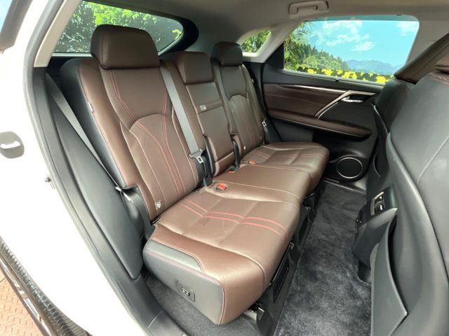 �㕔���Ȃ��C�ɂȂ�悤�ȃL�Y�E�����ւ��蓙�A�傫�ȃ_���[�W�͂Ȃ��A�ǍD�ȏ�Ԃł��B