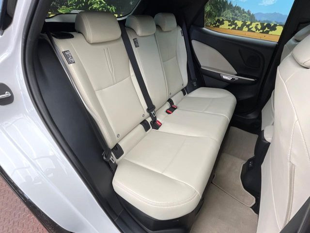 �㕔���Ȃ��C�ɂȂ�悤�ȃL�Y�E�����ւ��蓙�A�傫�ȃ_���[�W�͂Ȃ��A�ǍD�ȏ�Ԃł��B