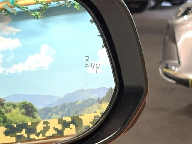 �y�u���C���h�X�|�b�g���j�^�[�z���s���A�h�A�~���[�̎��p�ɂȂ�₷���ӏ��Ɍ㑱�Ԃ��ڋ߂���ƃT�C�h�~���[�̃����Y�Ɍx����\��!�h���C�o�[�ɒ��ӊ��N�����Ă���܂��B