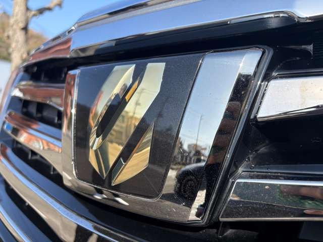 �^�C�v�S�[���hII�Ȃ�ł͂̃G���u������