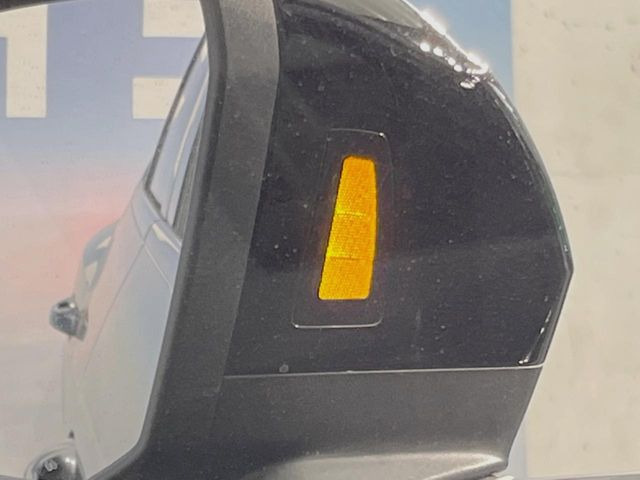 ���T�C�h�A�V�X�g(����x��):���s���A�h���C�o�[�̎��p�̎ԗ������o���Ď��̂𖢑R�ɖh���V�X�e���ł��B���[�_�[�Z���T�[������̕����Ԃ����o����ƁA�Y�����鑤�̃h�A�~���[����LED���_�������ӂ𑣂��܂��B