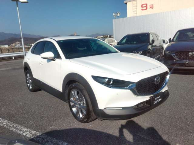 CX-301.8 XD プロアクティブ ツーリングセレクション 4WD