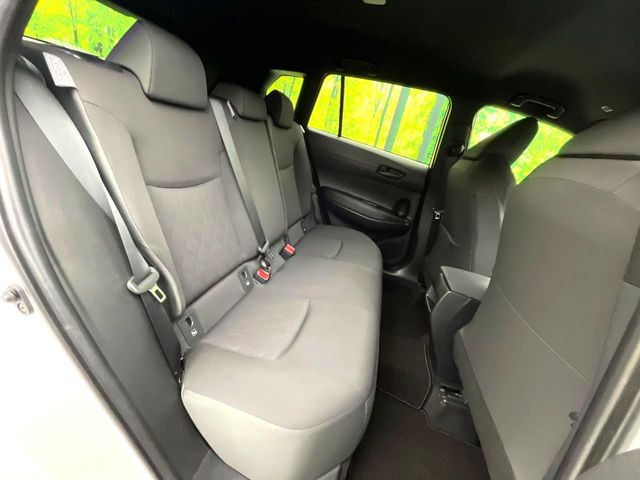 �㕔���Ȃ��C�ɂȂ�悤�ȃL�Y�E�����ւ��蓙�A�傫�ȃ_���[�W�͂Ȃ��A�ǍD�ȏ�Ԃł��B