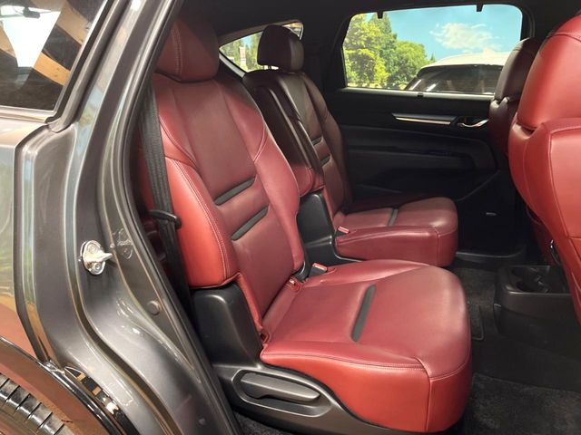 �㕔���Ȃ��C�ɂȂ�悤�ȃL�Y�E�����ւ��蓙�A�傫�ȃ_���[�W�͂Ȃ��A�ǍD�ȏ�Ԃł��B