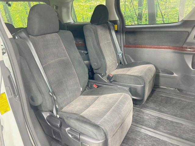 �㕔���Ȃ��C�ɂȂ�悤�ȃL�Y�E�����ւ��蓙�A�傫�ȃ_���[�W�͂Ȃ��A�ǍD�ȏ�Ԃł��B