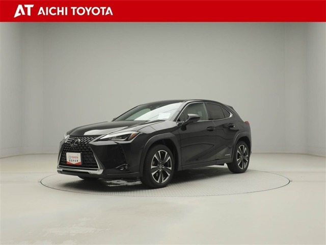 UX250h バージョンC