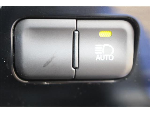 ���Ǝҗl�ւ̔̔��͂��f�肳���Ă��������܂��B �Ԍ������ԗ��̏ꍇ�́A�Ԍ����擾�������x�������z�ŕ\�����Ă���܂��B