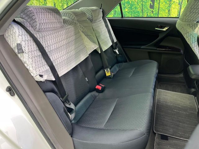 �㕔���Ȃ��C�ɂȂ�悤�ȃL�Y�E�����ւ��蓙�A�傫�ȃ_���[�W�͂Ȃ��A�ǍD�ȏ�Ԃł��B