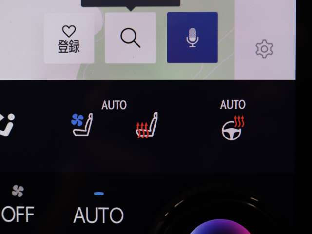 NX250 バージョンL