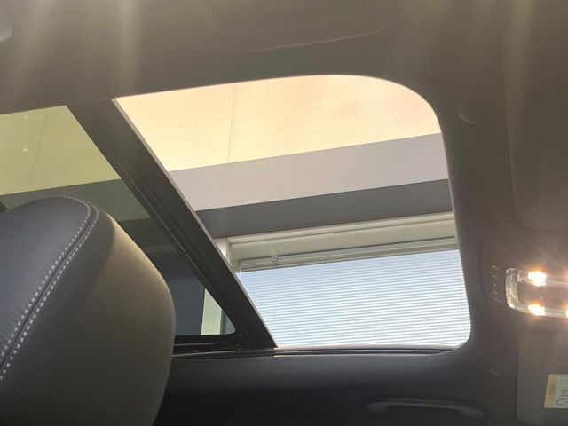 ���p�m���~�b�N�X���C�f�B���O���[�t::�唗�͂̃p�m���}���[�t�́A�㕔���Ȃɂ܂ő����Ă���A�J���I�ȋ�Ԃ����y���݂��������܂��B