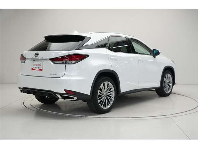 RX300 バージョンL