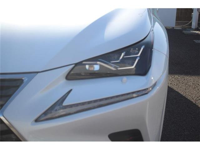 ���Ǝҗl�ւ̔̔��͂��f�肳���Ă��������܂��B �Ԍ������ԗ��̏ꍇ�́A�Ԍ����擾�������x�������z�ŕ\�����Ă���܂��B