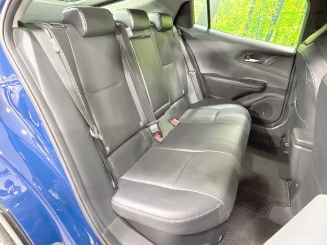 �㕔���Ȃ��C�ɂȂ�悤�ȃL�Y�E�����ւ��蓙�A�傫�ȃ_���[�W�͂Ȃ��A�ǍD�ȏ�Ԃł��B