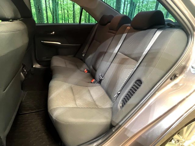 �㕔���Ȃ��C�ɂȂ�悤�ȃL�Y�E�����ւ��蓙�A�傫�ȃ_���[�W�͂Ȃ��A�ǍD�ȏ�Ԃł��B