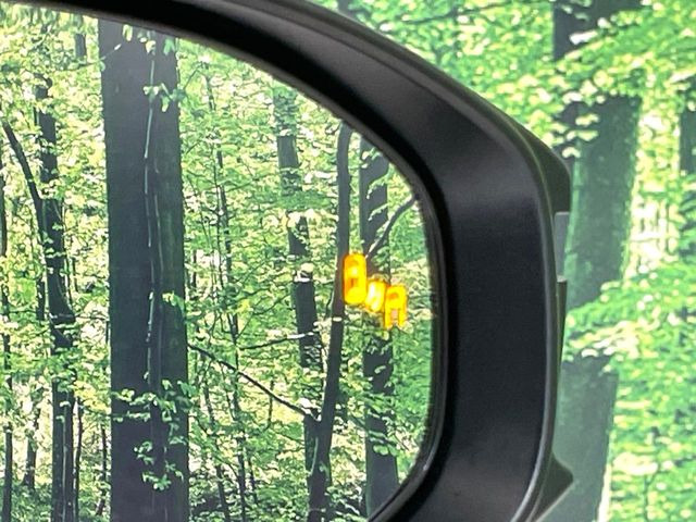 �y�u���C���h�X�|�b�g���j�^�[�z���s���A�h�A�~���[�̎��p�ɂȂ�₷���ӏ��Ɍ㑱�Ԃ��ڋ߂���ƃT�C�h�~���[�̃����Y�Ɍx����\��!�h���C�o�[�ɒ��ӊ��N�����Ă���܂��B