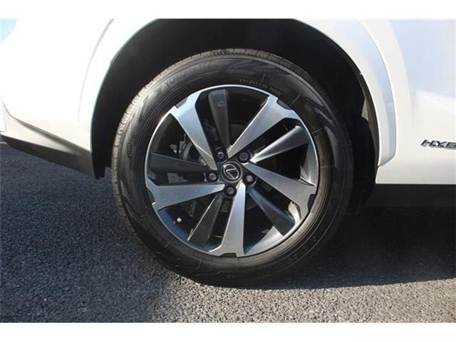 ���Ǝҗl�ւ̔̔��͂��f�肳���Ă��������܂��B �Ԍ������ԗ��̏ꍇ�́A�Ԍ����擾�������x�������z�ŕ\�����Ă���܂��B