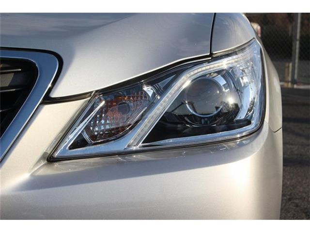 �����X�o���Ȃ����q�l�A���Ǝҗl�ւ̔̔��͂��f�肳���Ă��������܂��B�Ԍ������ԗ��̏ꍇ�́A�Ԍ����擾�������x�������z�ŕ\�����Ă���܂��B