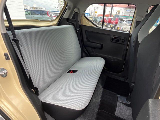 �㕔���Ȃ��C�ɂȂ�悤�ȃL�Y�E�����ւ��蓙�A�傫�ȃ_���[�W�͂Ȃ��A�ǍD�ȏ�Ԃł��B