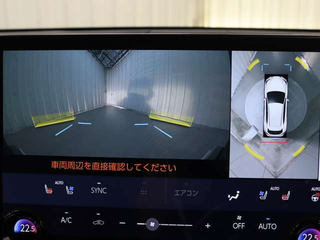 NX250 バージョンL