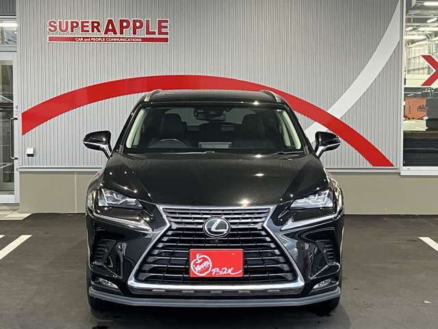 NX300 バージョンL 4WD