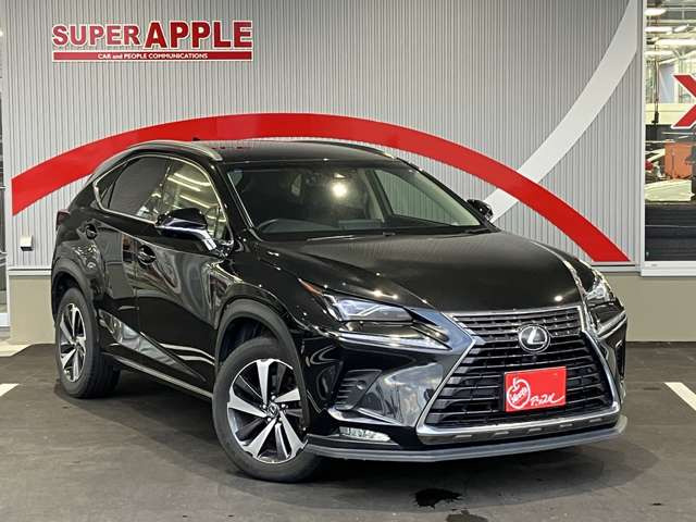 NX300 バージョンL 4WD