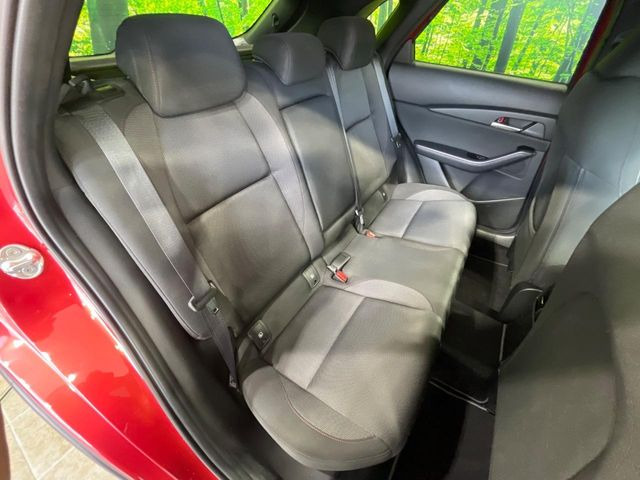 �㕔���Ȃ��C�ɂȂ�悤�ȃL�Y�E�����ւ��蓙�A�傫�ȃ_���[�W�͂Ȃ��A�ǍD�ȏ�Ԃł��B