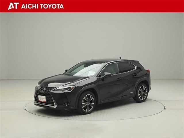 UX250h バージョンC