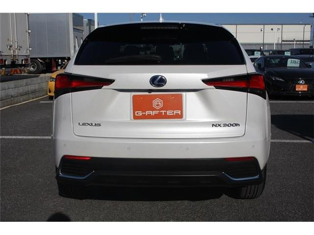 ���Ǝҗl�ւ̔̔��͂��f�肳���Ă��������܂��B �Ԍ������ԗ��̏ꍇ�́A�Ԍ����擾�������x�������z�ŕ\�����Ă���܂��B