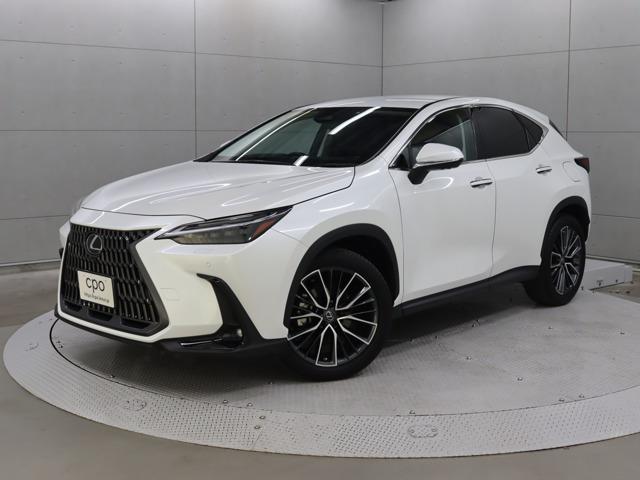 NX250 バージョンL