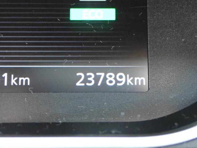 ���s�������m�F��������