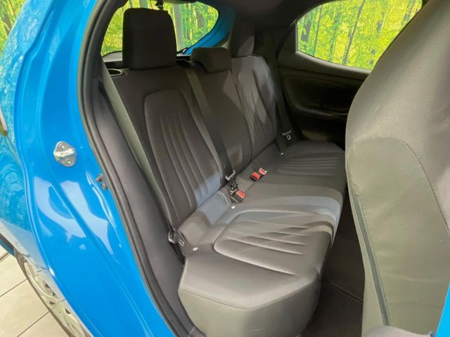 �㕔���Ȃ��C�ɂȂ�悤�ȃL�Y�E�����ւ��蓙�A�傫�ȃ_���[�W�͂Ȃ��A�ǍD�ȏ�Ԃł��B