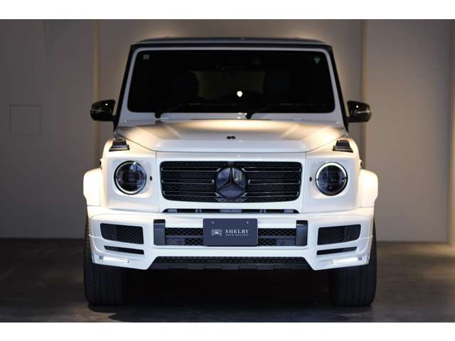 �{�f�B�J���[:�_�C�������h�z���C�g(799)