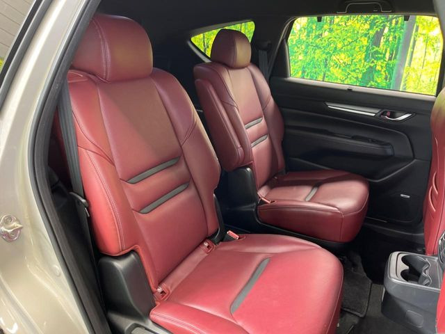 �㕔���Ȃ��C�ɂȂ�悤�ȃL�Y�E�����ւ��蓙�A�傫�ȃ_���[�W�͂Ȃ��A�ǍD�ȏ�Ԃł��B