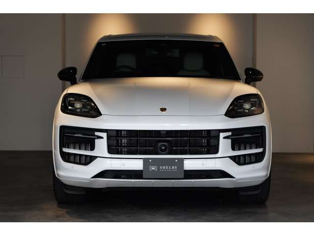 �L���{�f�B�J���[:�L�������z���C�g���^���b�N(173,000)