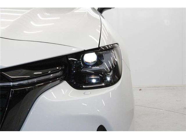 ���Ǝҗl�ւ̔̔��͂��f�肳���Ă��������܂��B �Ԍ������ԗ��̏ꍇ�́A�Ԍ����擾�������x�������z�ŕ\�����Ă���܂��B