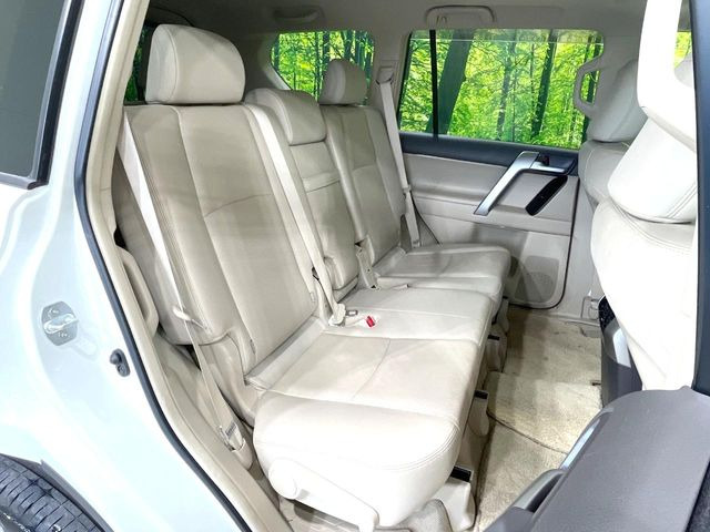 �㕔���Ȃ��C�ɂȂ�悤�ȃL�Y�E�����ւ��蓙�A�傫�ȃ_���[�W�͂Ȃ��A�ǍD�ȏ�Ԃł��B