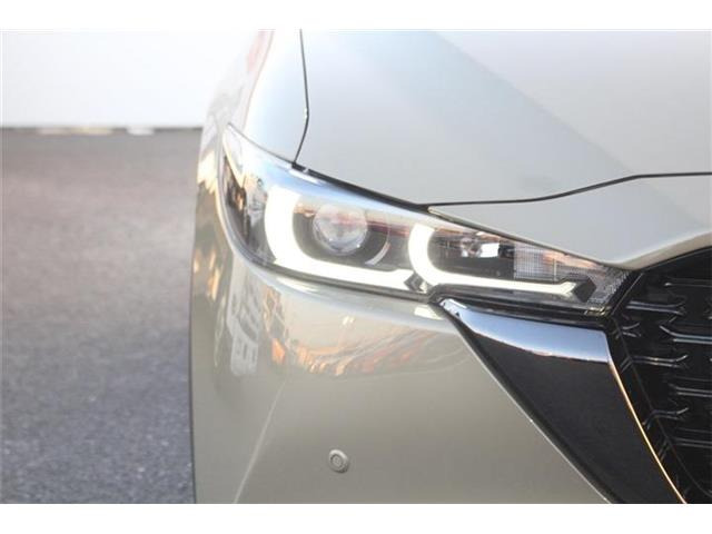 ���Ǝҗl�ւ̔̔��͂��f�肳���Ă��������܂��B �Ԍ������ԗ��̏ꍇ�́A�Ԍ����擾�������x�������z�ŕ\�����Ă���܂��B